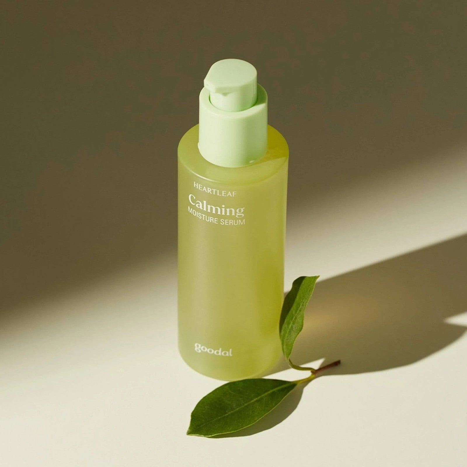 Goodal Heartleaf Calming Moisture Serum